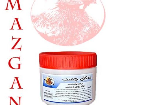 خرید عمده چسب چوب نیم کیلویی