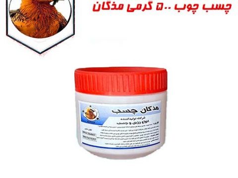 خرید عمده چسب چوب 500 گرمی