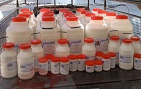 فروش و ارسال چسب چوب مذگان در تهران